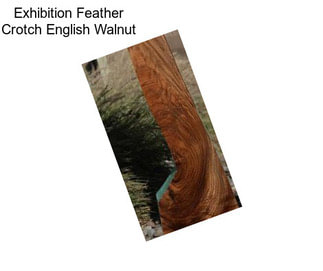 Exhibition Feather Crotch English Walnut