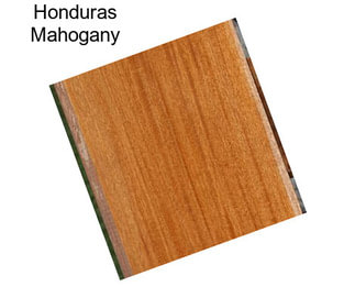 Honduras Mahogany