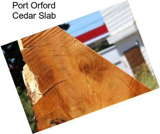 Port Orford Cedar Slab