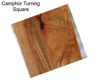 Camphor Turning Square