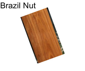 Brazil Nut