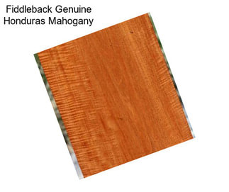 Fiddleback Genuine Honduras Mahogany