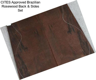 CITES Approved Brazilian Rosewood Back & Sides Set
