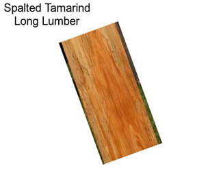 Spalted Tamarind Long Lumber