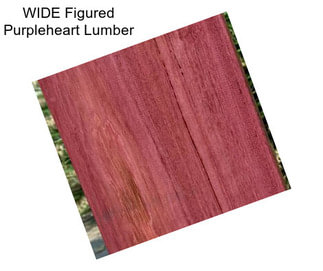 WIDE Figured Purpleheart Lumber