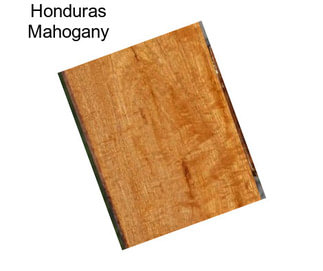 Honduras Mahogany