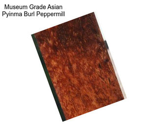 Museum Grade Asian Pyinma Burl Peppermill