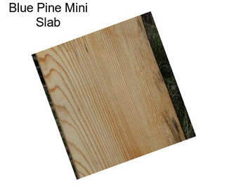 Blue Pine Mini Slab