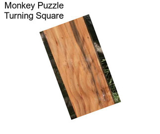 Monkey Puzzle Turning Square