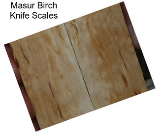 Masur Birch Knife Scales