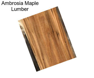 Ambrosia Maple Lumber