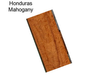 Honduras Mahogany