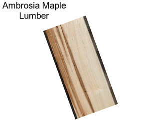 Ambrosia Maple Lumber