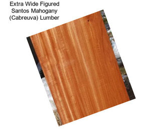 Extra Wide Figured Santos Mahogany (Cabreuva) Lumber