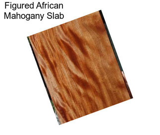 Figured African Mahogany Slab