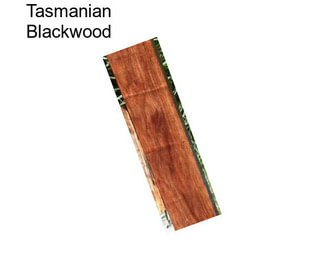 Tasmanian Blackwood