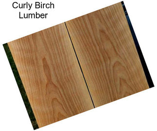 Curly Birch Lumber