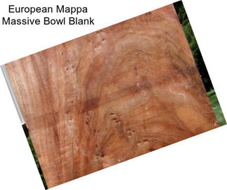 European Mappa Massive Bowl Blank