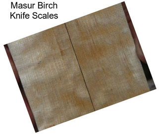 Masur Birch Knife Scales