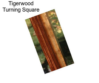 Tigerwood Turning Square
