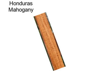 Honduras Mahogany