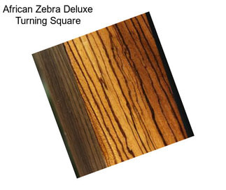 African Zebra Deluxe Turning Square