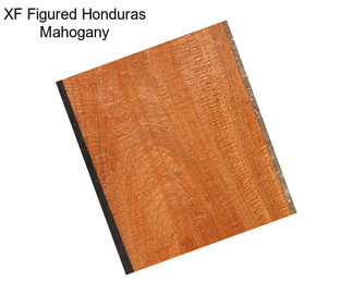 XF Figured Honduras Mahogany