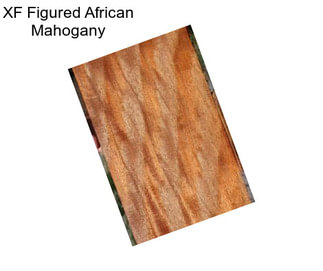 XF Figured African Mahogany