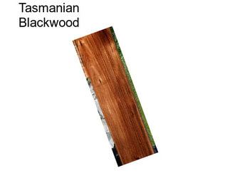 Tasmanian Blackwood