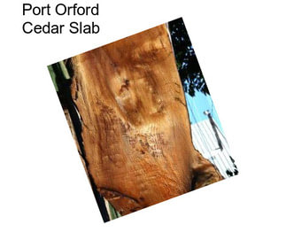 Port Orford Cedar Slab