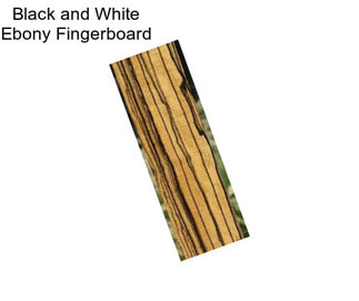 Black and White Ebony Fingerboard