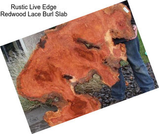 Rustic Live Edge Redwood Lace Burl Slab