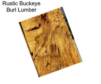 Rustic Buckeye Burl Lumber