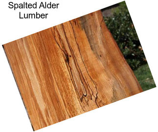 Spalted Alder Lumber