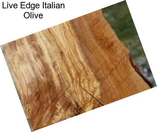 Live Edge Italian Olive