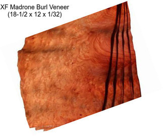XF Madrone Burl Veneer (18-1/2\