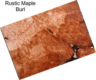 Rustic Maple Burl