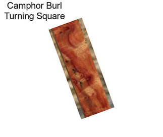 Camphor Burl Turning Square