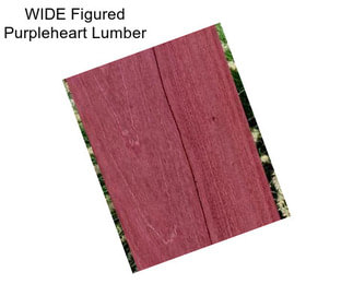 WIDE Figured Purpleheart Lumber