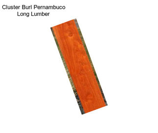 Cluster Burl Pernambuco Long Lumber