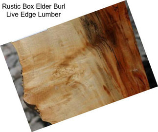 Rustic Box Elder Burl Live Edge Lumber
