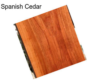 Spanish Cedar