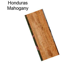 Honduras Mahogany