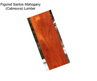 Figured Santos Mahogany (Cabreuva) Lumber