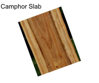 Camphor Slab