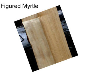 Figured Myrtle