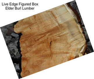 Live Edge Figured Box Elder Burl Lumber
