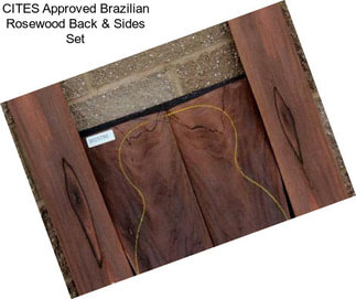 CITES Approved Brazilian Rosewood Back & Sides Set
