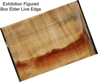 Exhibition Figured Box Elder Live Edge