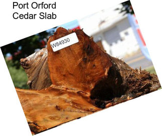 Port Orford Cedar Slab